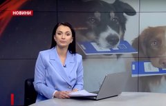 Головні новини Львова за 19 червня