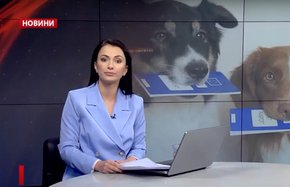 Головні новини Львова за 19 червня