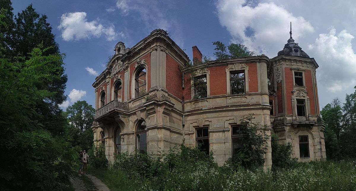 Волонтери взялися за порятунок палацу у Тартакові на Львівщині