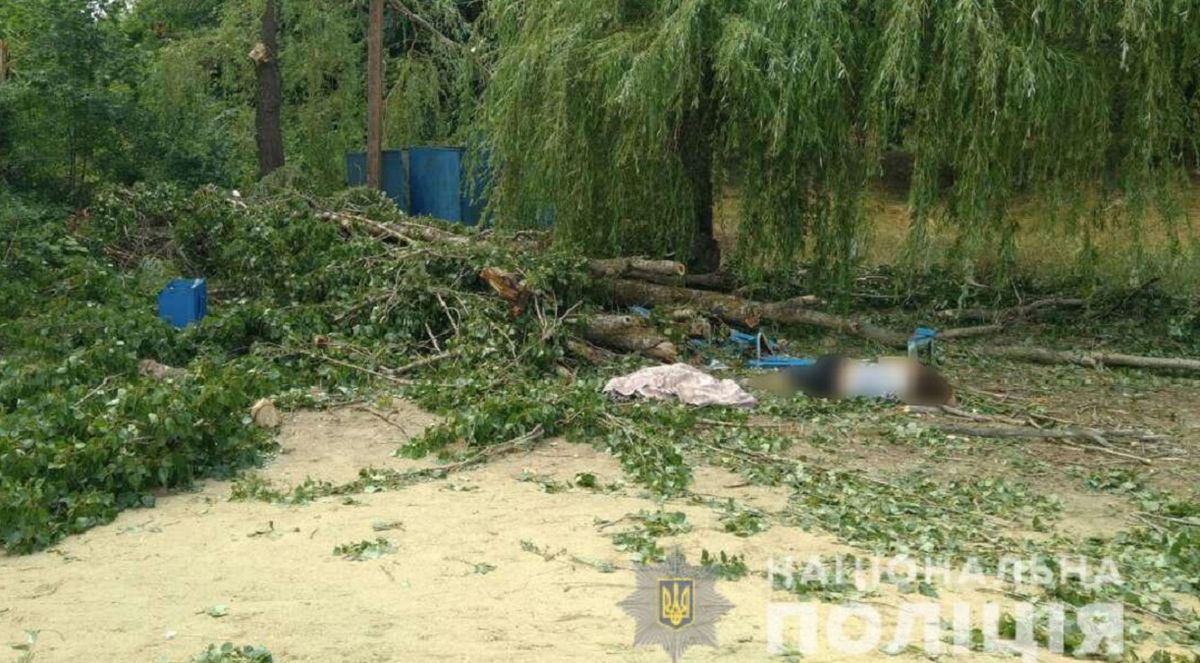 У Харкові унаслідок пориву вітру на людей впало дерево, двоє загиблих