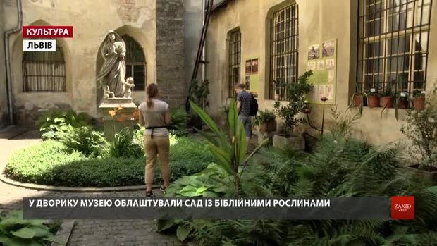 Вперше у Львові відкрили виставку живих біблійних рослин