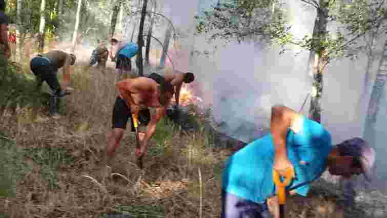 Українські заробітчани в Польщі запобігли поширенню масштабної пожежі в лісі