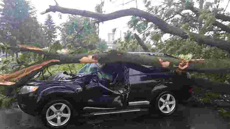 У Стрийському районі через падіння дерева на автомобіль постраждало двоє людей 