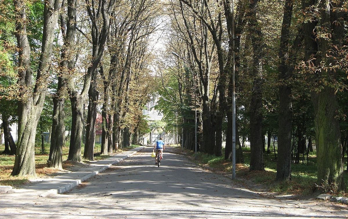 Львівська мерія запевнила, що збереже сквер біля психіатричної лікарні