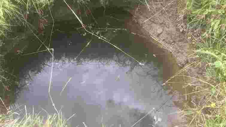 У Сколівському районі півторарічна дівчинка втопилася в колодязі 