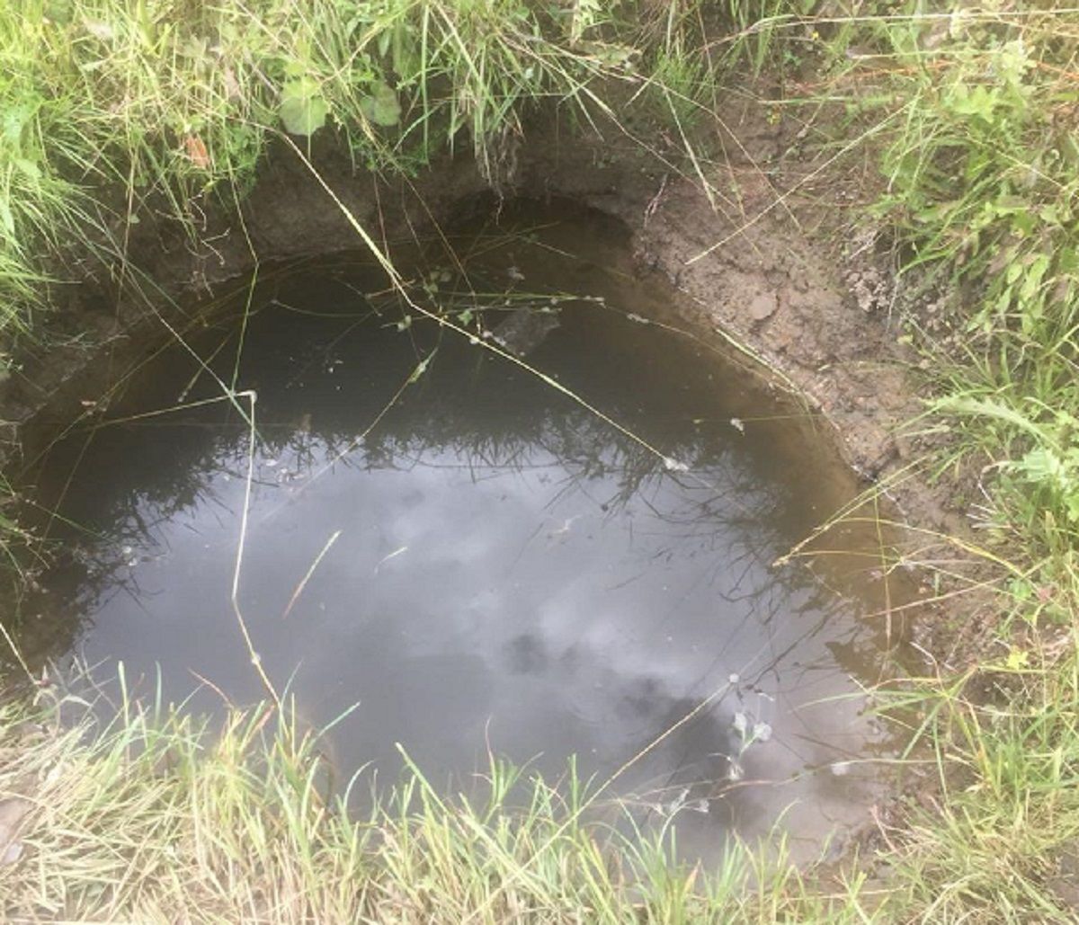 У Сколівському районі півторарічна дівчинка втопилася в колодязі 