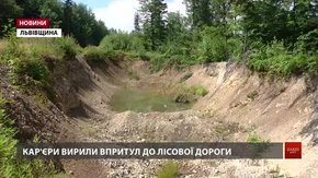 У лісі поблизу Трускавця влаштували нелегальні кар’єри