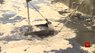 На очисних спорудах «Львівводоканалу» виникла аварійна ситуація через скид невідомої речовини