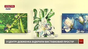 У Центрі Довженка на Сихові відкрили новий виставковий простір