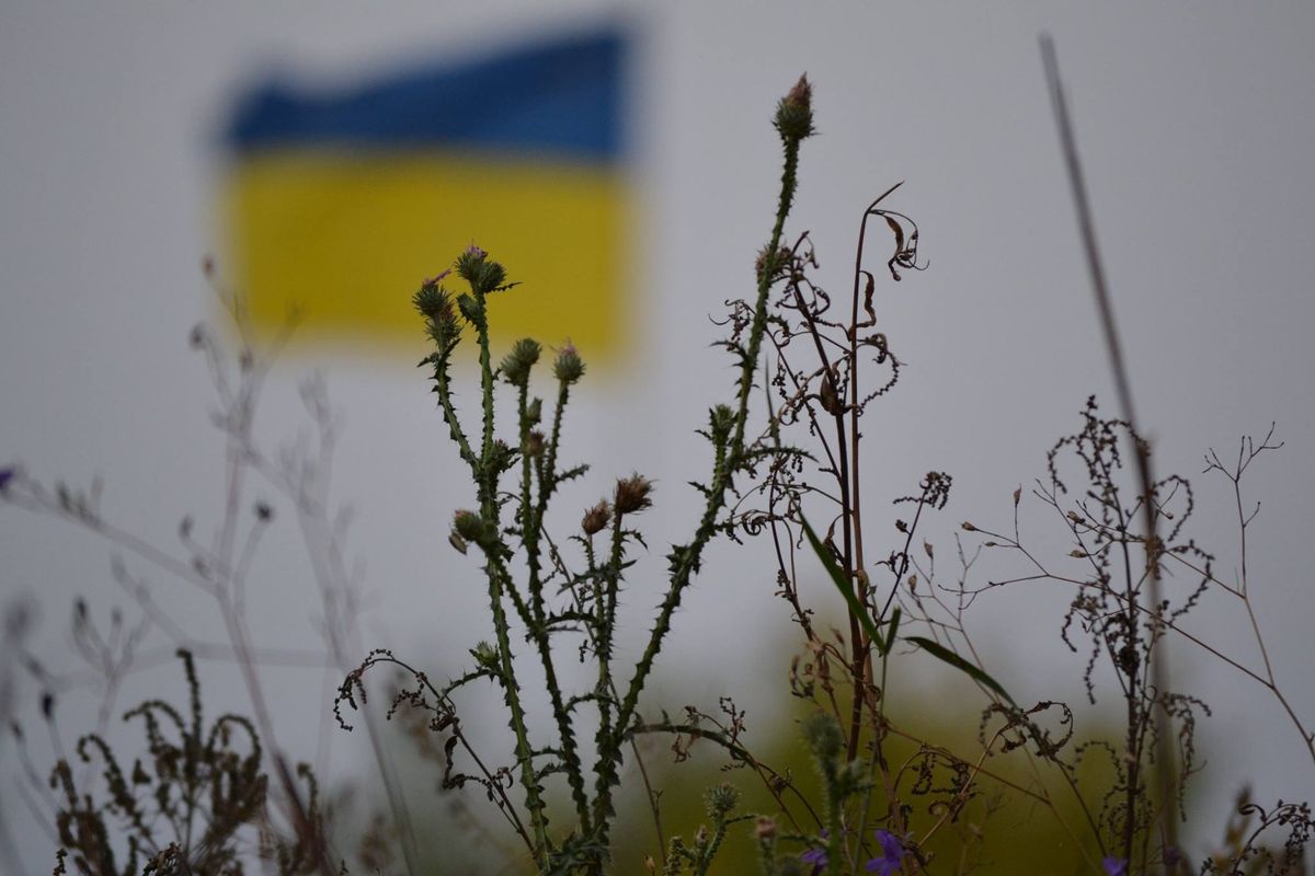На Донбасі загинули двоє вояків 24-ї бригади імені короля Данила