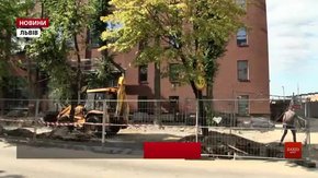 Біля колишнього заводу «Полярон» у Львові забудовник зрізав рідкісні дерева