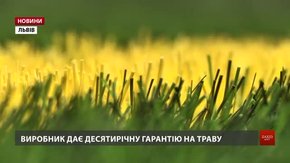 У львівській спортивній школі №4 капітально відремонтували поле