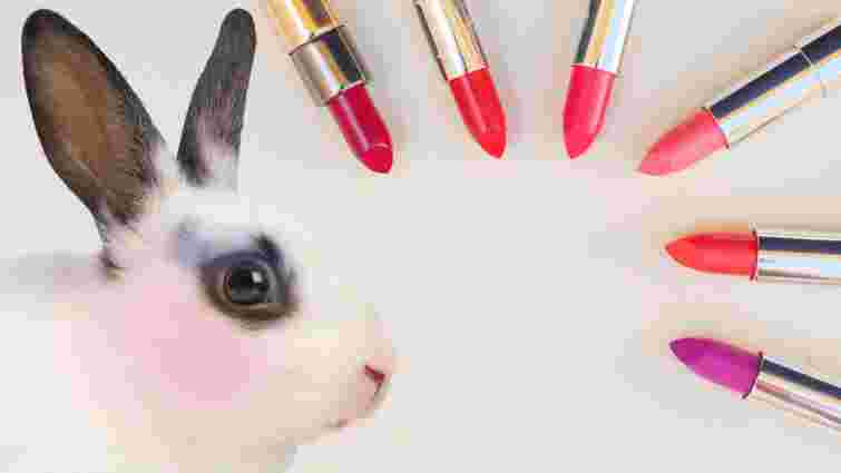 МОЗ опублікувало проект постанови про заборону тестування косметики на тваринах