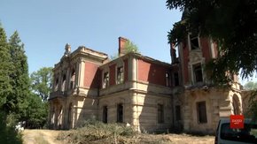 Волонтери-науковці прибирають Тартаківський палац XIX ст. і розробляють спосіб його порятунку