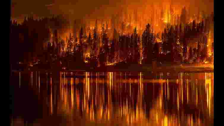 У російському Сибіру збільшилася площа лісових пожеж