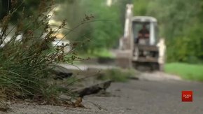 У Галицькому районі Львова на ремонт закривають ще дві вулиці