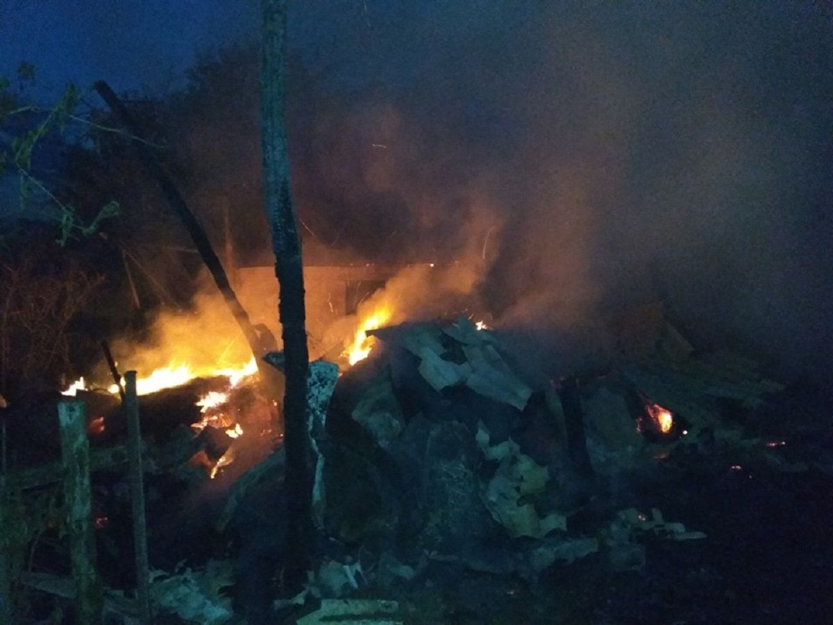Під час пожежі у господарській будівлі на Львівщині загинули тварини