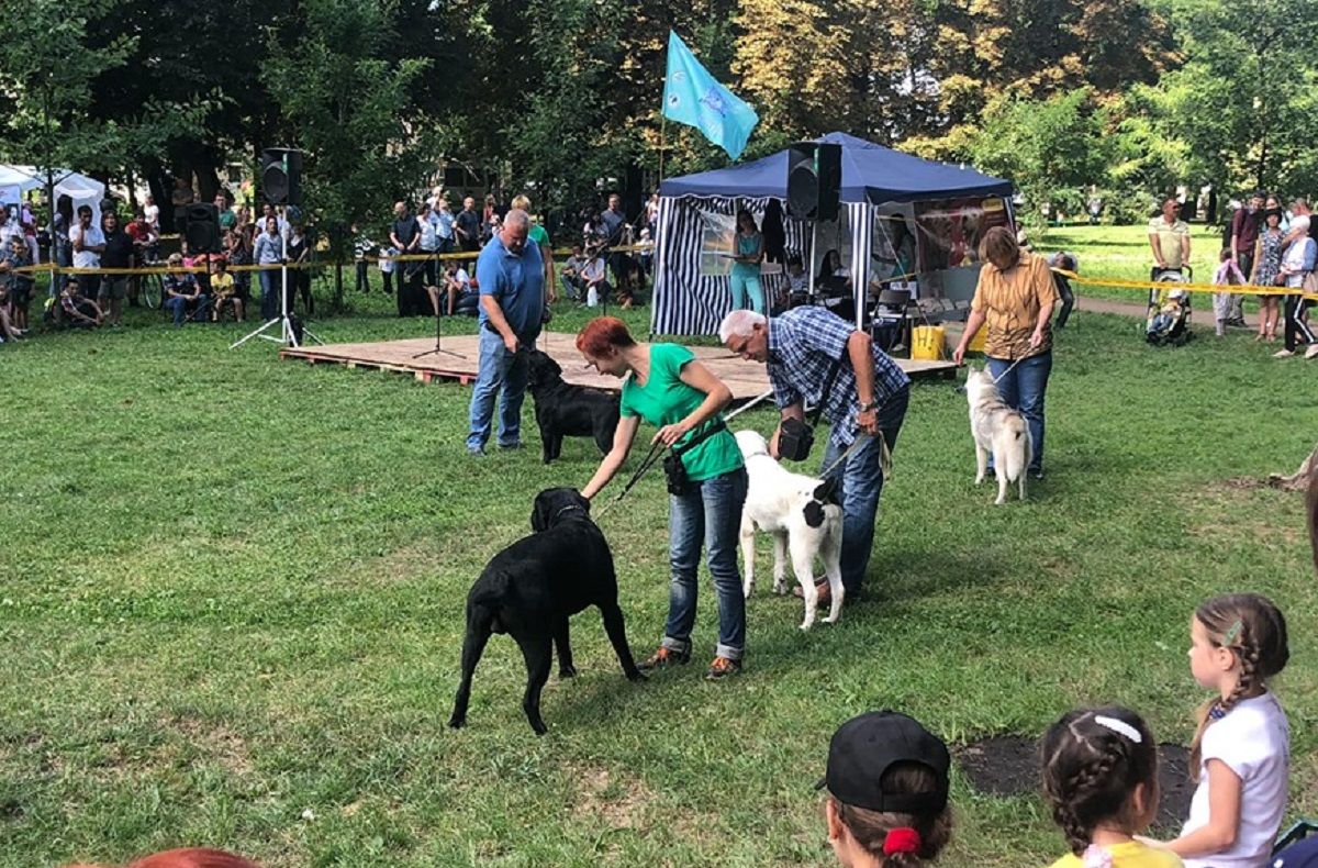 У Левандівському парку провели кінно-кінологічний фестиваль «Завжди разом»