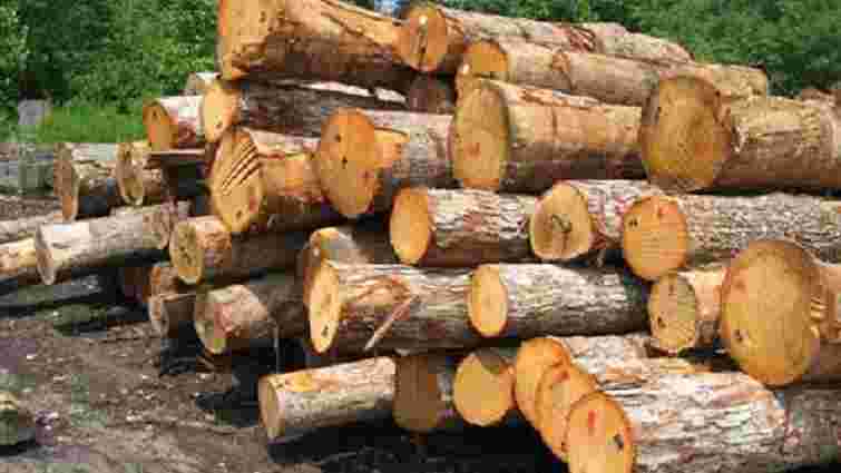 На Львівщині через службову недбалість засудили майстра військового лісопідприємства