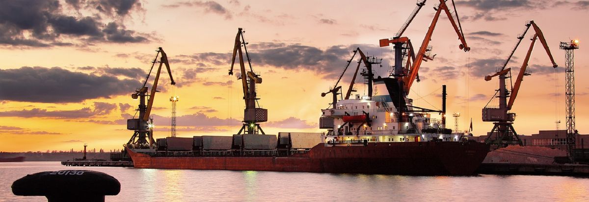 Морські порти «Ольвія» та «Херсон» передадуть в приватне управління