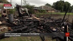 На Львівщині багатодітній вдові атовця спалили господарку