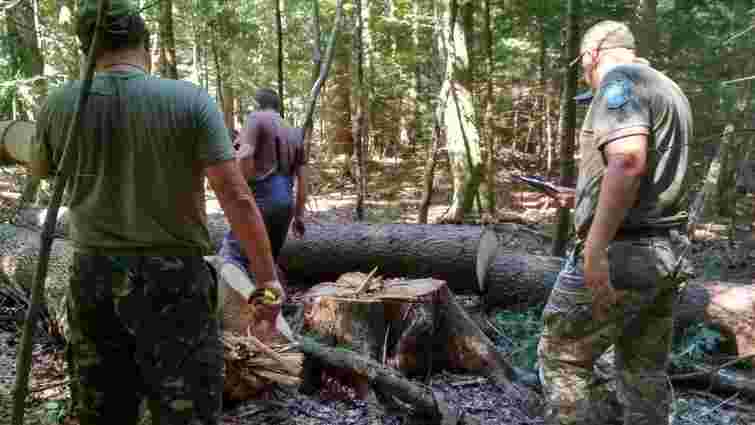 Працівників національного парку «Гуцульщина» спіймали на незаконній рубці лісу