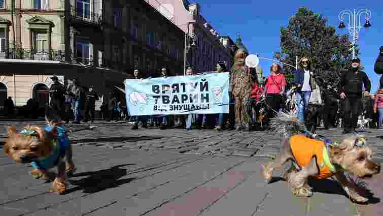 Львів’ян закликають прийти на марш за права тварин