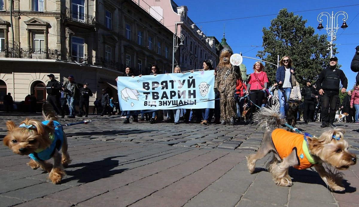 Львів’ян закликають прийти на марш за права тварин