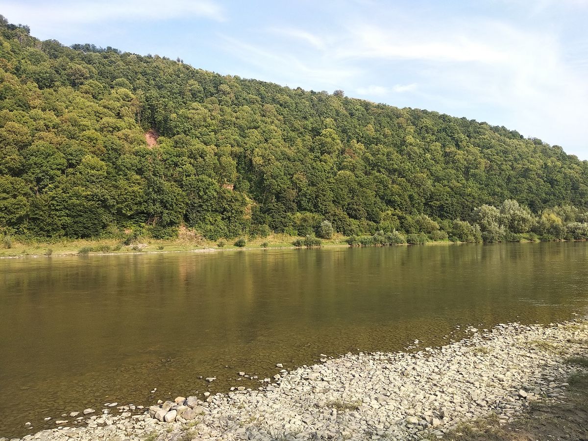57-річний мешканець Львівщини  заразився лептоспірозом під час риболовлі на Дністрі