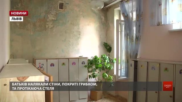 За плісняву на стінах львівського дитсадка на керівництво чекає дисциплінарне покарання 