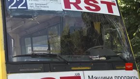 У Брюховичах зламане дерево розбило маршрутку з пасажирами