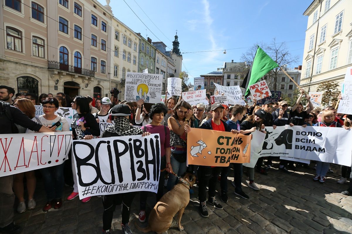 «Ми з тобою однієї крові»: у Львові відбувся Марш за права тварин