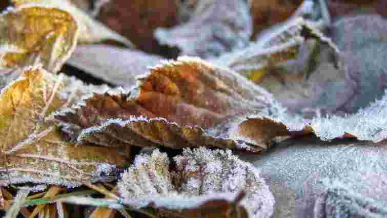 Укргідрометцентр попередив про перше осіннє похолодання та приморозки в Карпатах