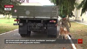 На Львівщині понад 20 собак змагаються за звання найкращого охоронця кордону 
