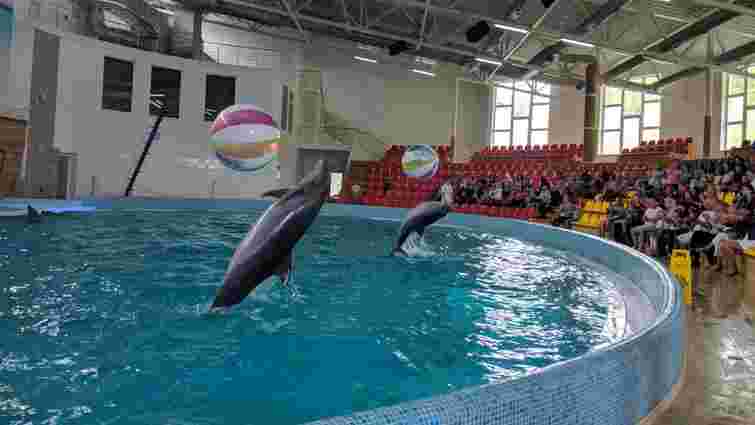 Трускавецький дельфінарій оштрафували на 246 тис. грн за нелегальну музику