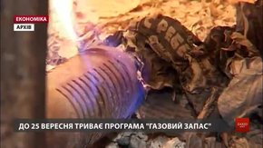 Львів'яни закупили на зиму 4,4 млн кубометрів газу за «літньою» ціною