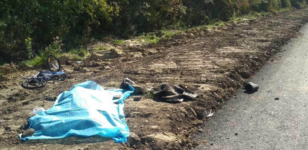 У ДТП на Львівщині загинув 67-річний велосипедист