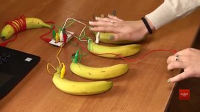 У неділю на Сихові проведуть фестиваль «Наукові пікніки»