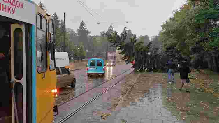 Через повалені негодою дерева на кількох вулицях Львова не курсує електротранспорт