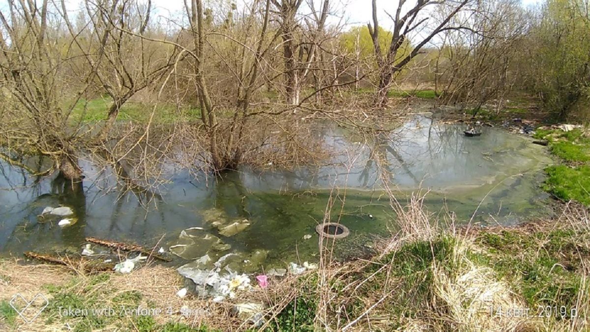 У Львові рятувальники допомогли чоловікові вибратися з заболоченої водойми Скнилівського парку