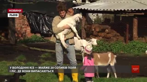 Подружжя створило біля Новояворівська козину ферму і розвиває екотуризм