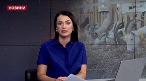 Головні новини Львова за 9 жовтня