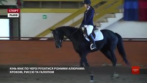 Відкритий кубок Львівщини з кінного спорту стартував із виїздки