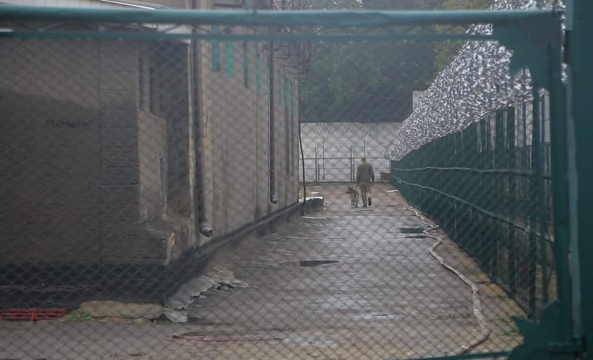 ДБР почало розслідувати хабарництво в СІЗО після фільму-розслідування «Слідства.Інфо»