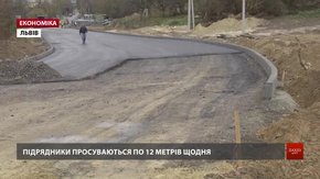 Новою вулицею до Голосківського кладовища пустять електробуси або тролейбуси