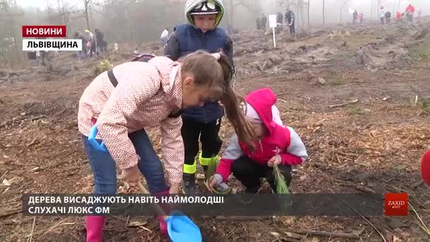 Слухачі та ведучі Люкс ФМ разом висадили ліс