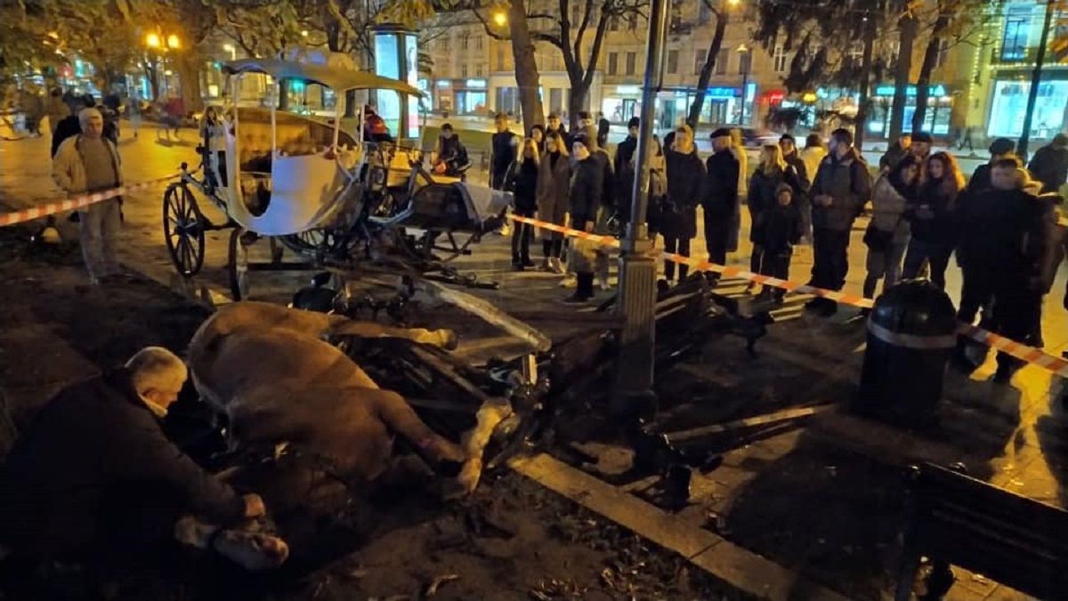 Налякані фейєрверком коні у центрі Львова важко травмували 15-річну дівчину