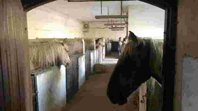 Комісія перевірила умови утримання коней львівською компанією «Каретний двір»