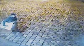 Із Домініканського собору у Львові вкрали мідні труби