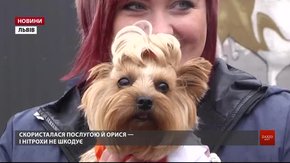 ЛКП «Лев» виготовляє хвостатим улюбленцям сертифікати для закордонних мандрів